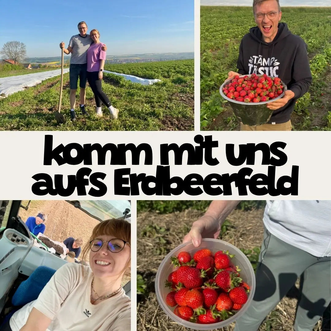 Luca und Jana beim Ernten auf dem Berghaus Erdbeerfeld in Ostwestfalen.