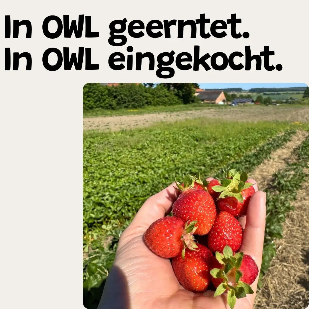 Frisch gepflückte Erdbeeren in einer Hand direkt vom Feld in OWL.