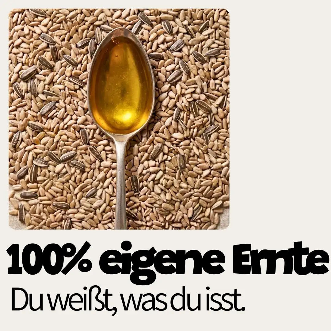 Goldgelbes, kaltgepresstes Sonnenblumenöl auf dem Löffel. Volles Aroma aus 100% eigener Ernte