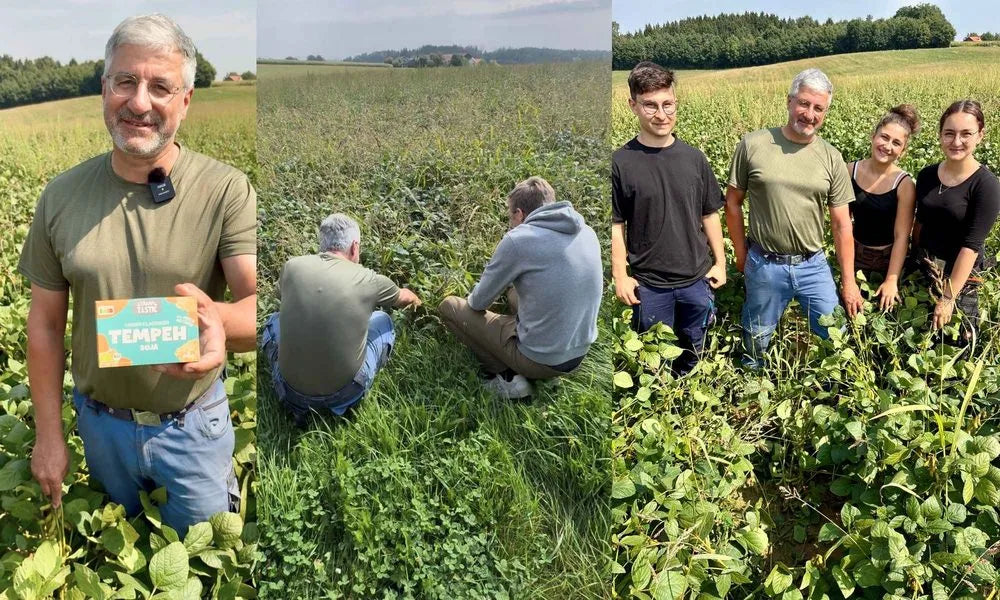Regionaler Anbau von Bio-Sojabohnen für Tempeh auf bayerischen Feldern.