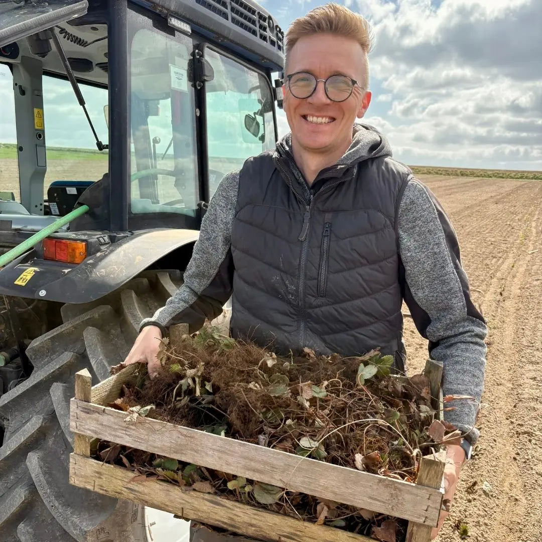 Gründer Luca mit einer Kiste frischer Erdbeeren vor dem Trecker.